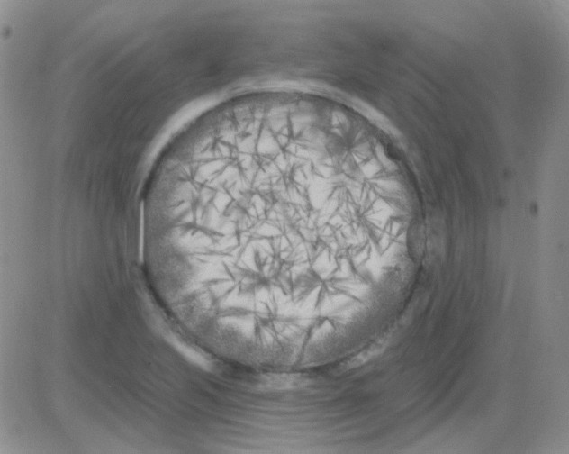 X0000082731223200702232338