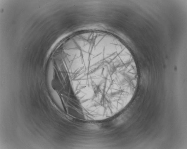 X0000082731224200702232339