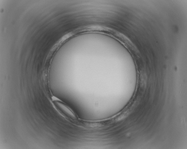 X0000082731225200702232339