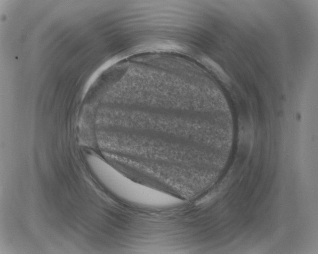 X0000082731226200702232339