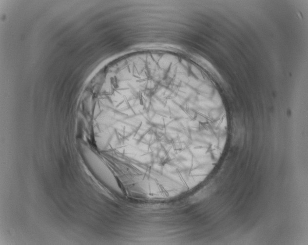 X0000082731228200702232339