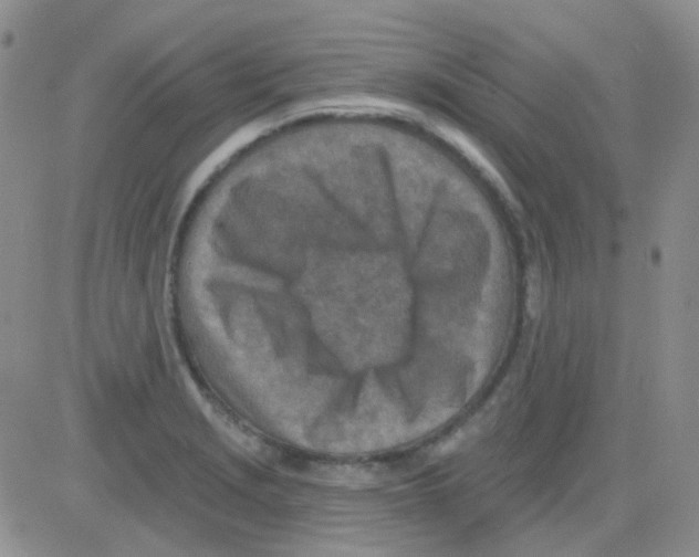 X0000082731229200702232339