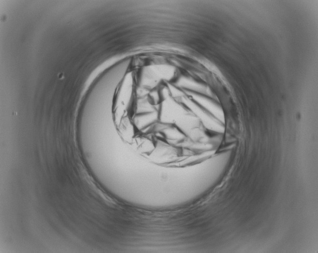 X0000082731230200702232339