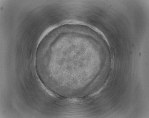 X0000082731231200702232339