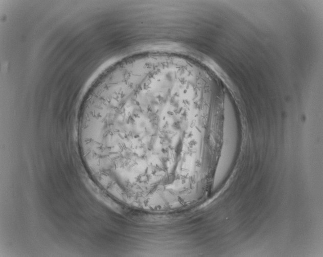 X0000082731232200702232339