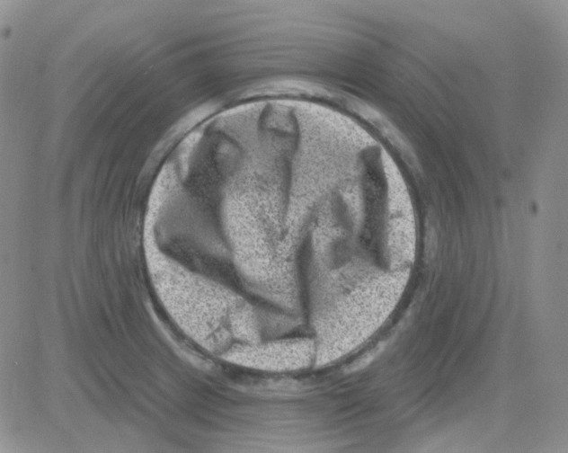 X0000082731233200702232339