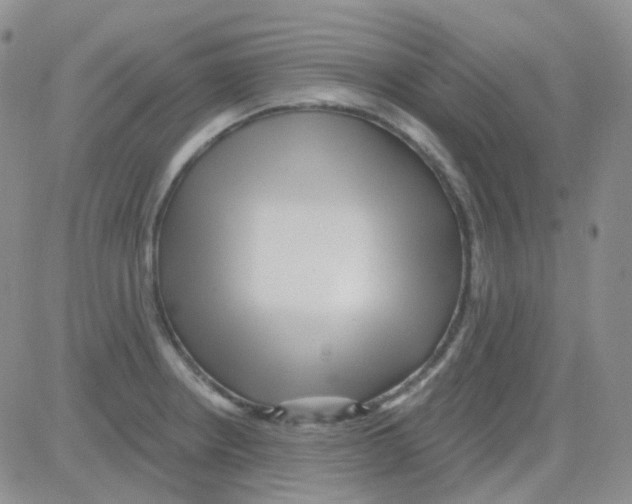 X0000082731234200702232339