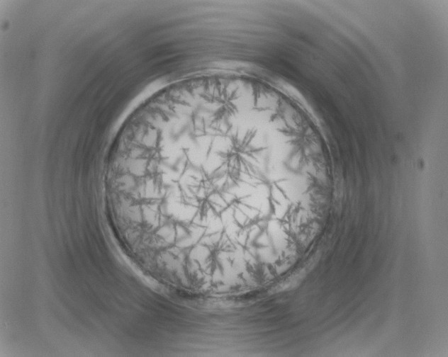 X0000082731235200702232339