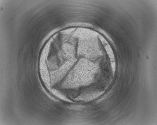 X0000082731237200702232339