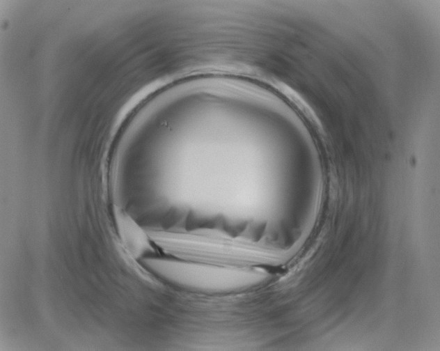 X0000082731238200702232339