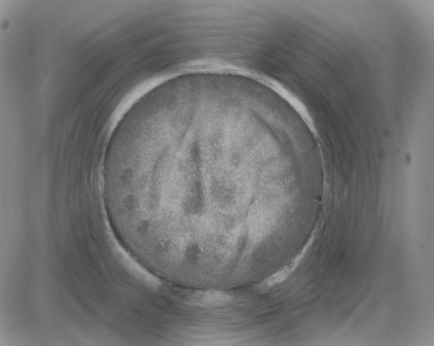 X0000082731239200702232339