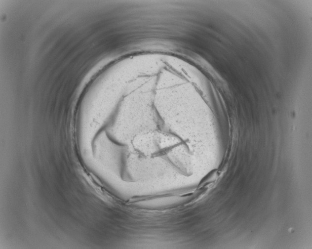 X0000082731240200702232339