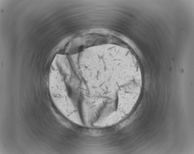 X0000082731241200702232339