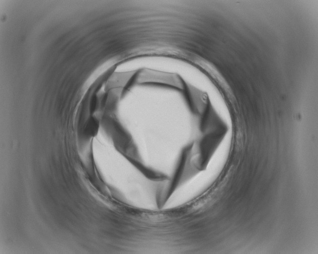 X0000082731242200702232339