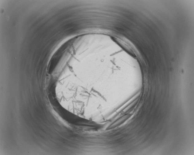 X0000082731244200702232339