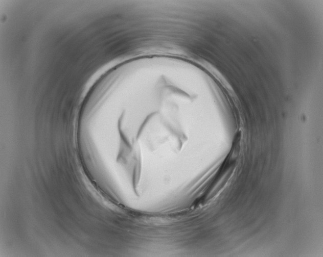 X0000082731246200702232339