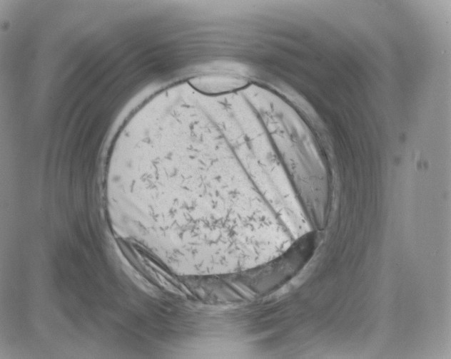 X0000082731248200702232339