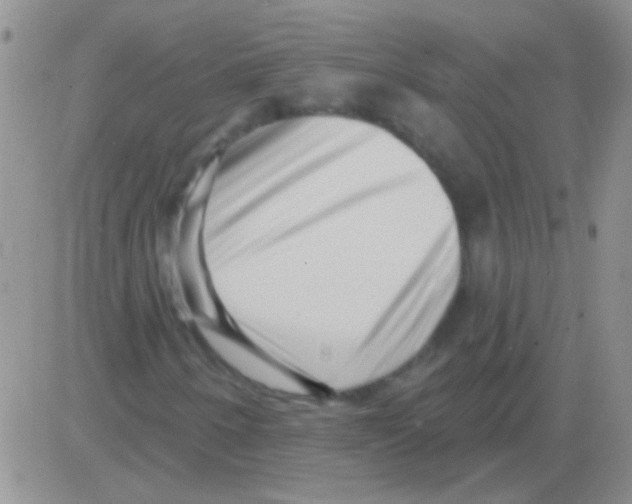 X0000082731250200702232338