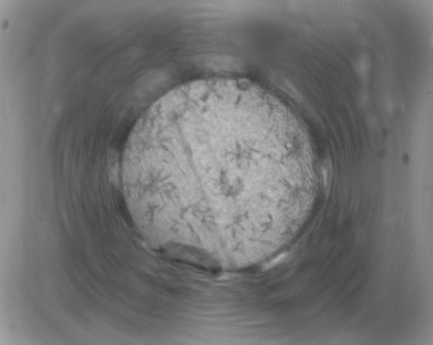 X0000082731251200702232338