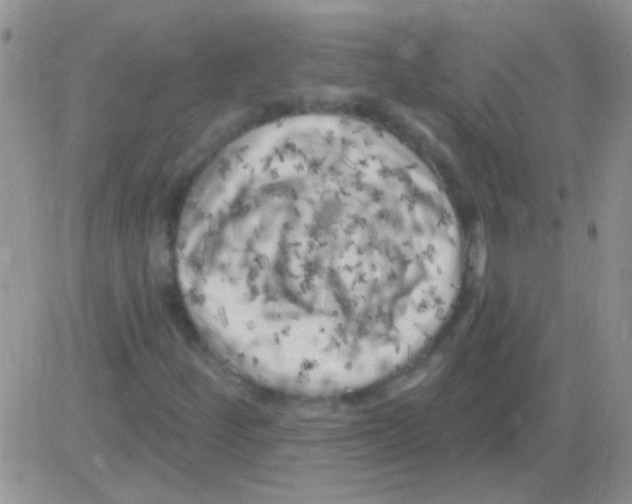 X0000082731252200702232338