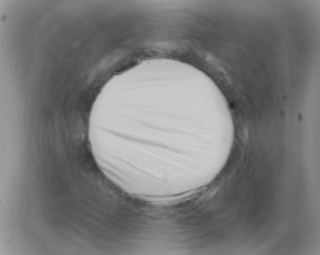 X0000082731253200702232338