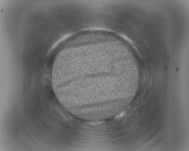 X0000082731255200702232338