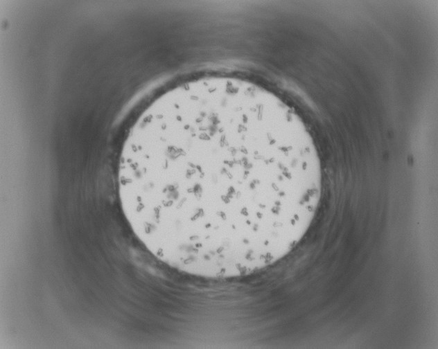 X0000082731256200702232338