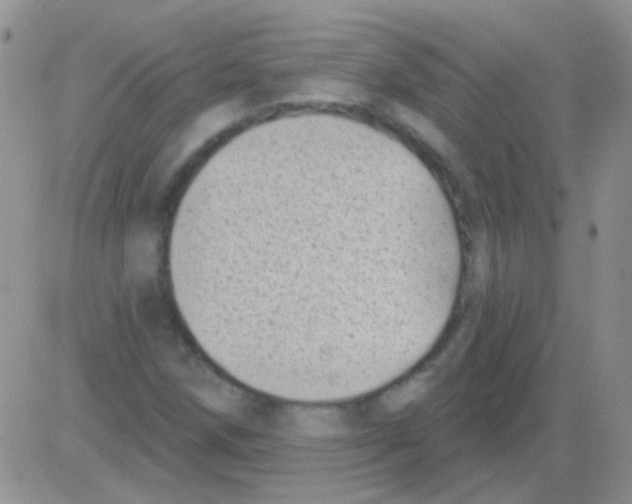 X0000082731258200702232338