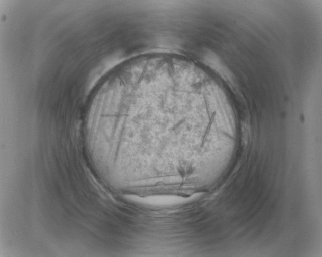 X0000082731260200702232338