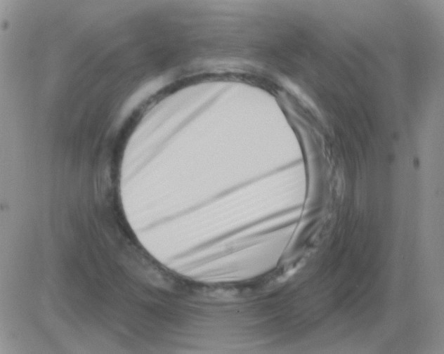 X0000082731261200702232338