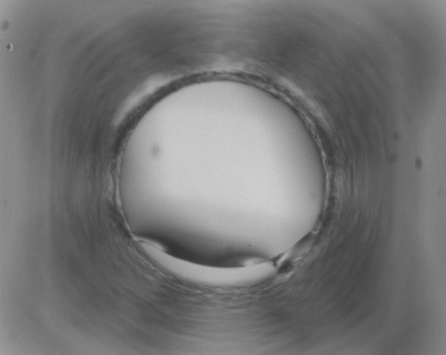 X0000082731262200702232338