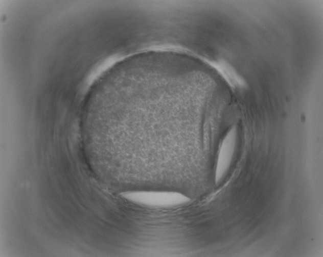 X0000082731263200702232338