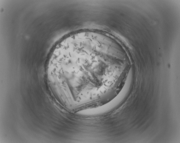 X0000082731264200702232338