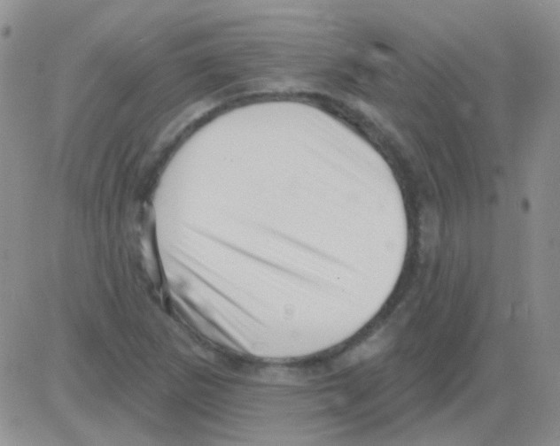 X0000082731265200702232338