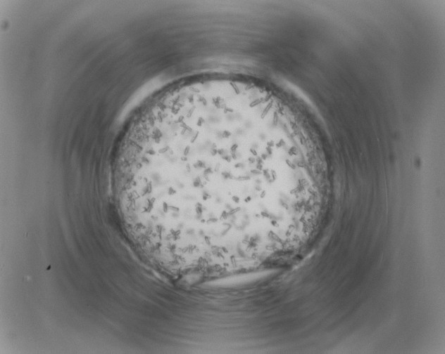 X0000082731267200702232338