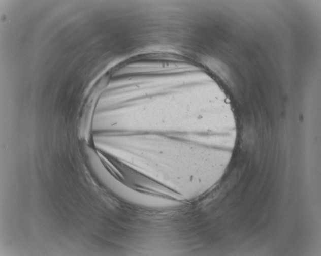 X0000082731268200702232338