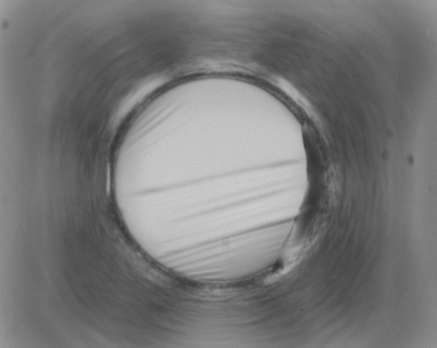 X0000082731269200702232338