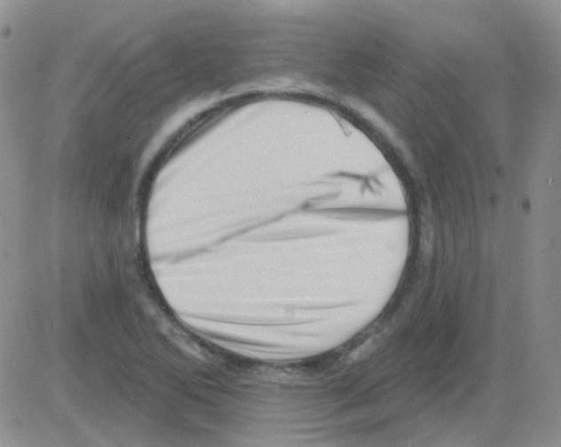 X0000082731270200702232338