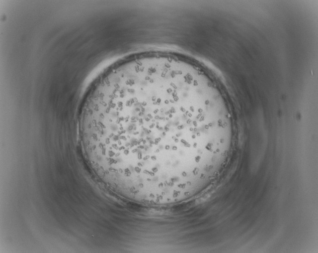 X0000082731271200702232338