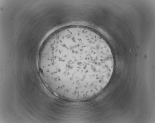 X0000082731272200702232338