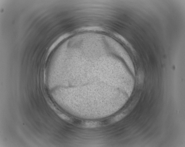 X0000082731274200702232338