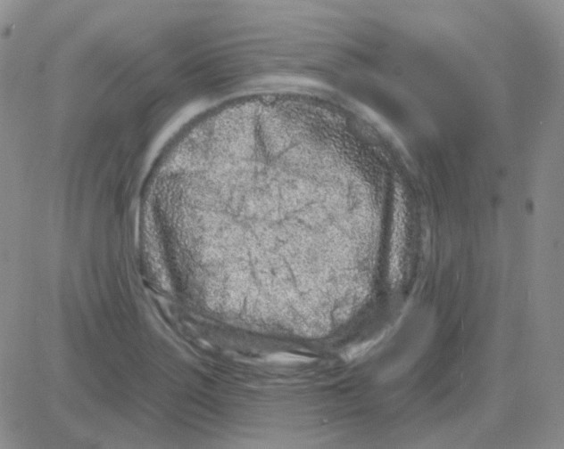 X0000082731275200702232338