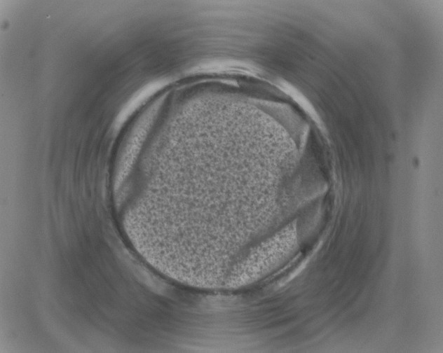 X0000082731277200702232338