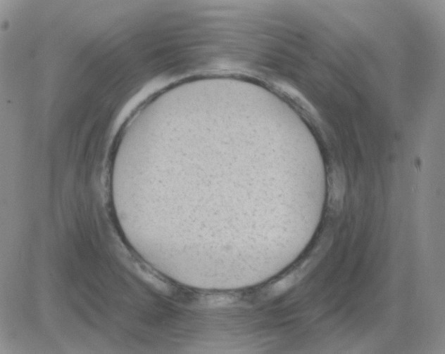 X0000082731278200702232338