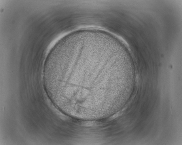 X0000082731279200702232338