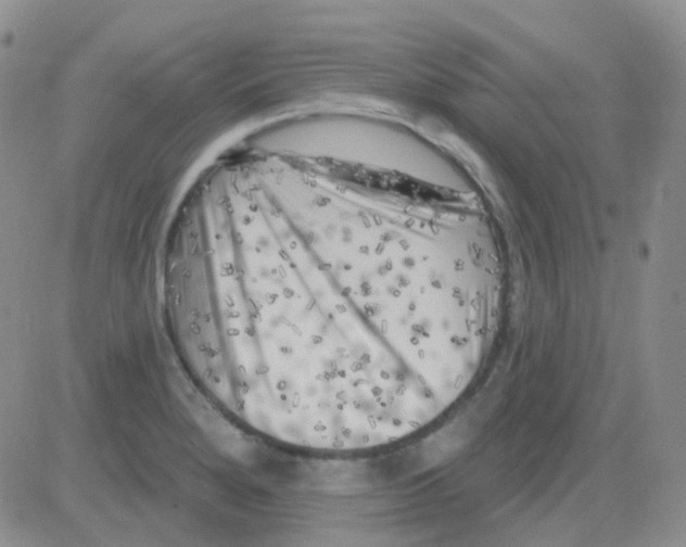 X0000082731280200702232338