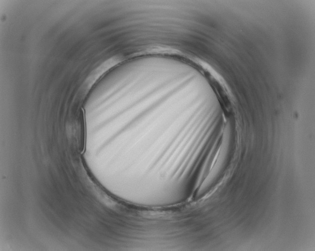 X0000082731281200702232338