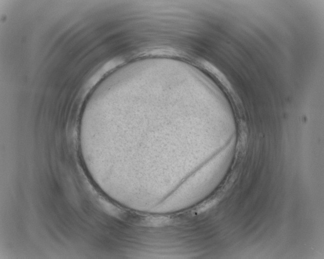 X0000082731282200702232338