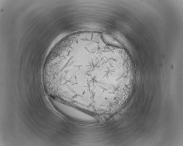 X0000082731283200702232338