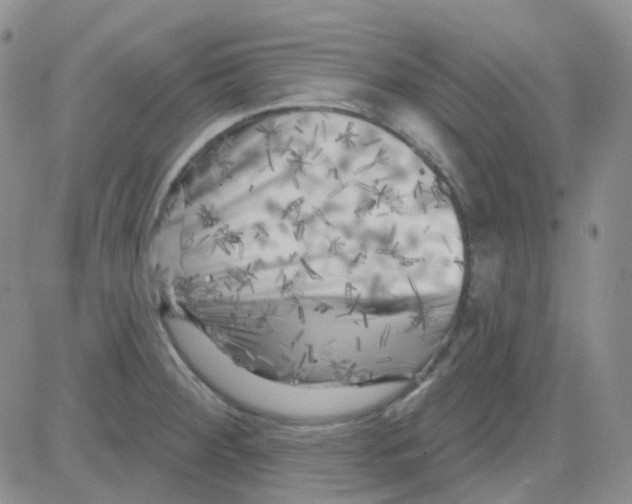 X0000082731284200702232338